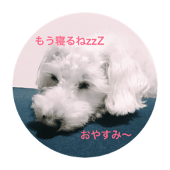 [LINEスタンプ] べーかーる