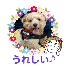 [LINEスタンプ] マルプーのメイプルのスタンプ
