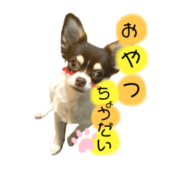 [LINEスタンプ] まろ①