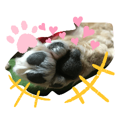 [LINEスタンプ] Pu〜