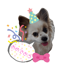 [LINEスタンプ] パピヨン娘Chocolatの一言