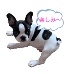 [LINEスタンプ] ぱんくんはうす