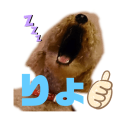 [LINEスタンプ] かわいいマーティーの生活