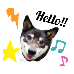 [LINEスタンプ] 黒柴はな