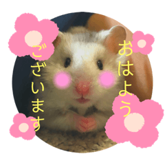 [LINEスタンプ] みちおさん。