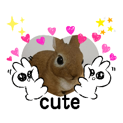 [LINEスタンプ] いろいろみかんくん