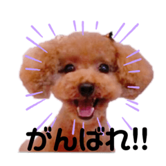 [LINEスタンプ] くぅちゃんスタイルPart2