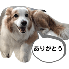[LINEスタンプ] Rui’s Stamp 1