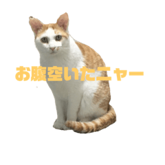 [LINEスタンプ] おいら大福