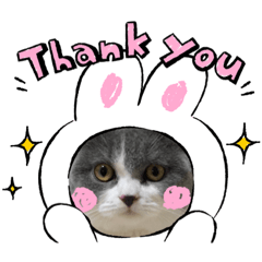 [LINEスタンプ] はちくんからメッセージ❣️2
