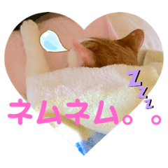 [LINEスタンプ] ワイルドアニマルスタンプ