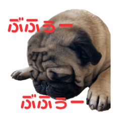 [LINEスタンプ] ぶぶぶ〜ハルくんpart 2
