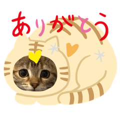 [LINEスタンプ] 神野律(りっちゃん)スタンプ