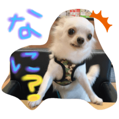 [LINEスタンプ] まげちゃんpart2