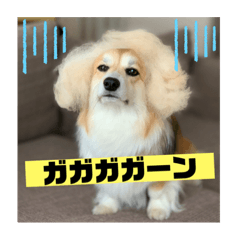 [LINEスタンプ] ペコひまスタンプ2