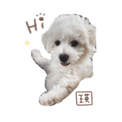 [LINEスタンプ] 瑛斗とウサコ