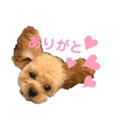 [LINEスタンプ] えぴたんスタンプ2