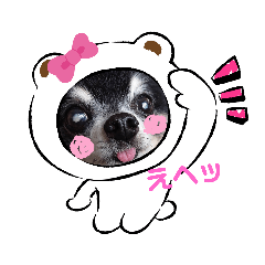 [LINEスタンプ] チワワのセサミ1+