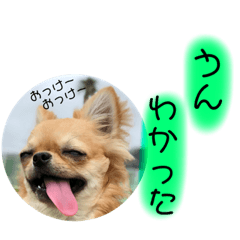 [LINEスタンプ] はなこきなこ2
