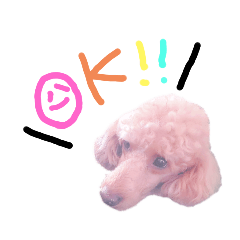 [LINEスタンプ] 毎日使える☆Alen.