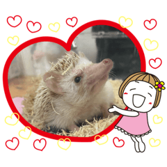 [LINEスタンプ] ハリネズミのスタンプだよー