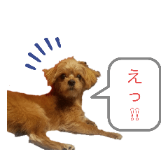 [LINEスタンプ] ロコすたんぷ2