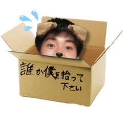 [LINEスタンプ] ゆかいな5組