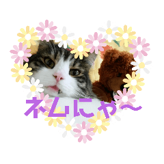 [LINEスタンプ] 猫なで