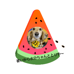 [LINEスタンプ] 新 大好きな人に送る言葉