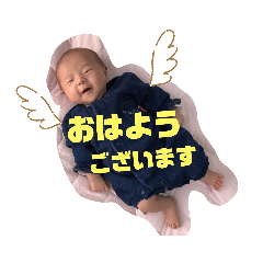 [LINEスタンプ] ぴよりまごちゃんno.1