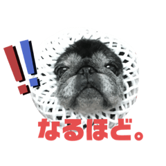 [LINEスタンプ] めぐるなスタンプ第一弾！