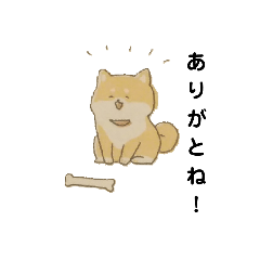 [LINEスタンプ] 柴犬の日常会話スタンプ！