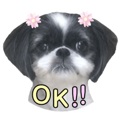 [LINEスタンプ] みみ♡ちょこ①