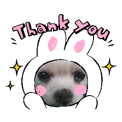[LINEスタンプ] ワンの気持ち♪ 2