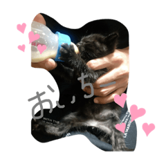 [LINEスタンプ] コウたん♡