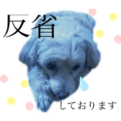 [LINEスタンプ] ココの呟き