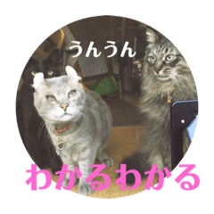 [LINEスタンプ] トマロビーのソバで#1