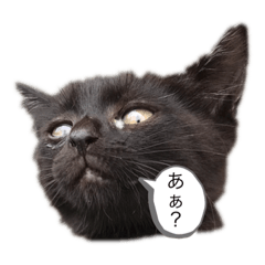 [LINEスタンプ] ウパ・ルパオX