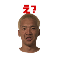 [LINEスタンプ] ゲシエスタンプ