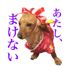 [LINEスタンプ] チーコチーコ N°1