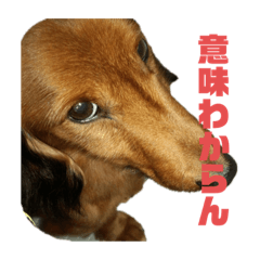 [LINEスタンプ] ムタさん2