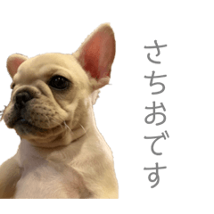 [LINEスタンプ] さちおくん。