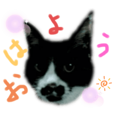[LINEスタンプ] ぽちwithレオ＆たま