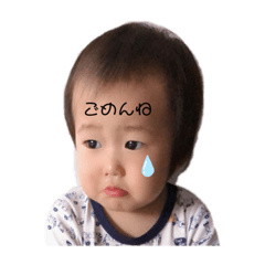 [LINEスタンプ] こはちゃスタンプ