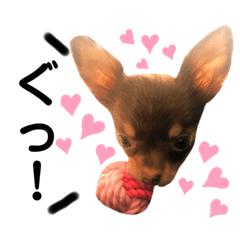 [LINEスタンプ] 可愛いモアちゃん