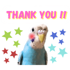 [LINEスタンプ] セキセイインコのポンちゃん♪