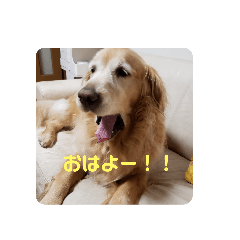 [LINEスタンプ] 我が家のけいたくん