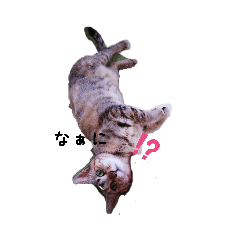 [LINEスタンプ] そら＆あずき