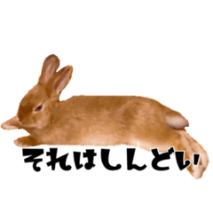 [LINEスタンプ] うにウニ雲丹UNI