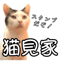[LINEスタンプ] 猫見家スタンプ